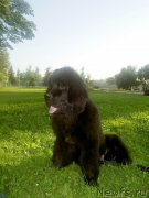 Превью фото № 204696