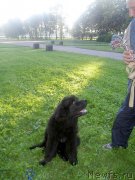 Превью фото № 204698