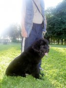 Превью фото № 204699