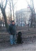 Превью фото № 204705