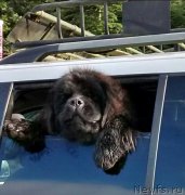 Превью фото № 204729