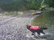 Превью фото № 204774