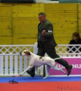 Превью фото № 204793