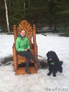 Превью фото № 204808