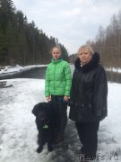 Превью фото № 204810