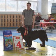 Превью фото № 204905