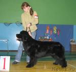 Превью фото № 20500