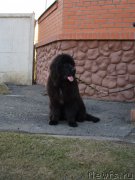 Превью фото № 205015