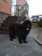 Превью фото № 205016