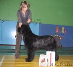 Превью фото № 20503