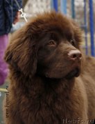 Превью фото № 205056