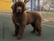 Превью фото № 205059