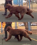 Превью фото № 205064