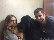 Превью фото № 205068