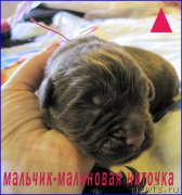 Превью фото № 205075