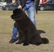 Превью фото № 205095