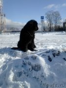 Превью фото № 205106