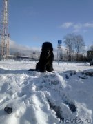 Превью фото № 205107