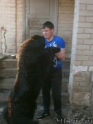 Превью фото № 205115