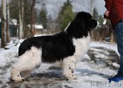 Превью фото № 205124