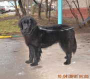 Превью фото № 205149