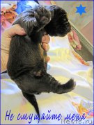 Превью фото № 205158