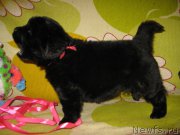 Превью фото № 205221