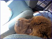 Превью фото № 205323