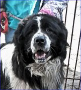 Превью фото № 205328