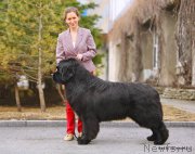 Превью фото № 205336