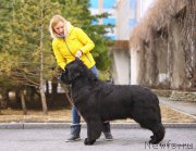 Превью фото № 205337