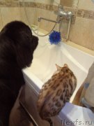 Превью фото № 205341