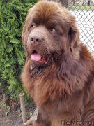 Превью фото № 205366