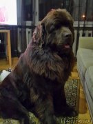 Превью фото № 205369