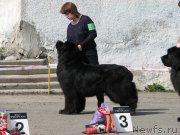 Превью фото № 205370