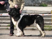 Превью фото № 205377