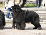 Превью фото № 205380