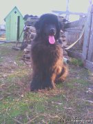 Превью фото № 205457