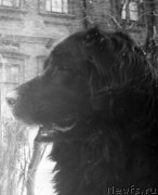 Превью фото № 205469