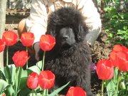 Превью фото № 205487