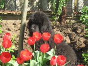 Превью фото № 205488