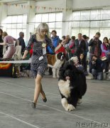 Превью фото № 205517