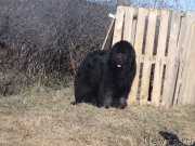 Превью фото № 205612