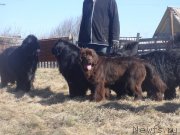 Превью фото № 205613