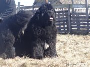 Превью фото № 205614