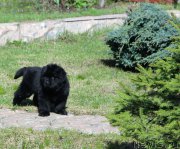 Превью фото № 205655