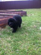 Превью фото № 205675