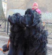 Превью фото № 205754