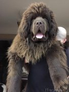 Превью фото № 205768