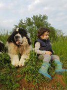 Превью фото № 205772